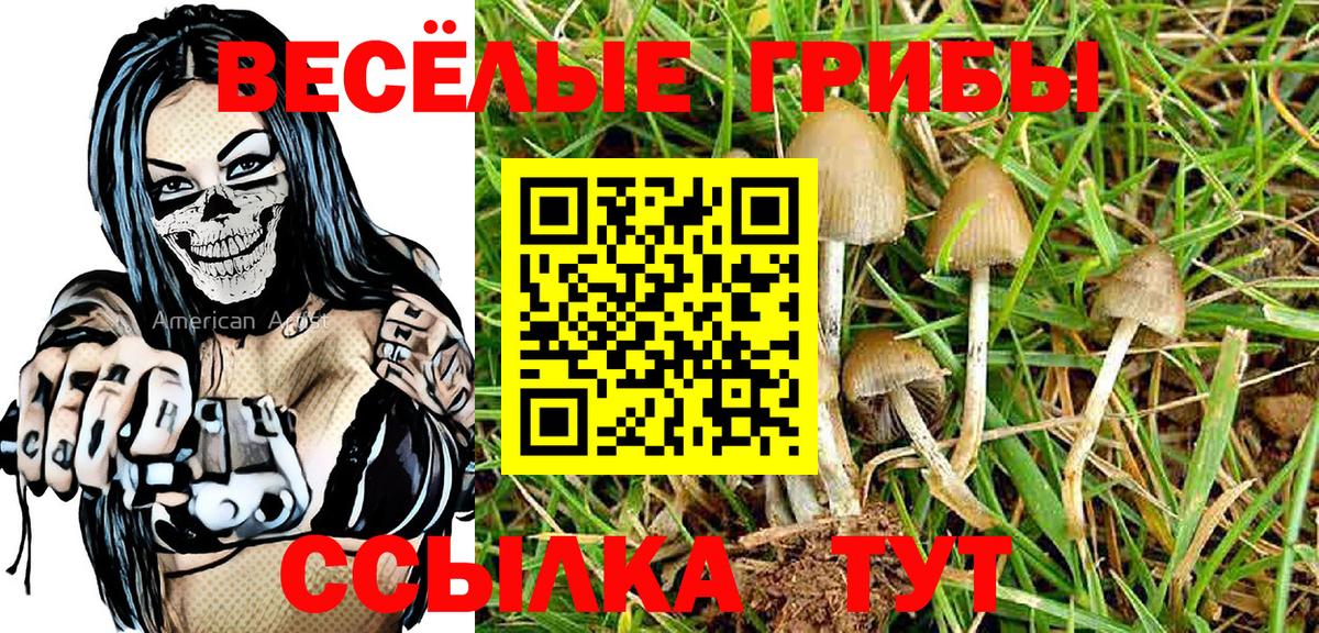 Галлюциногенные грибы Psilocybine cubensis Красноярск