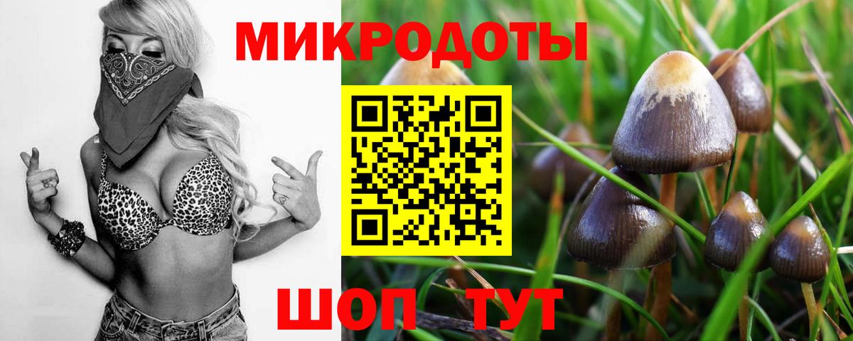 Псилоцибиновые грибы Psilocybine cubensis  Вход с VPN  Красноярск 